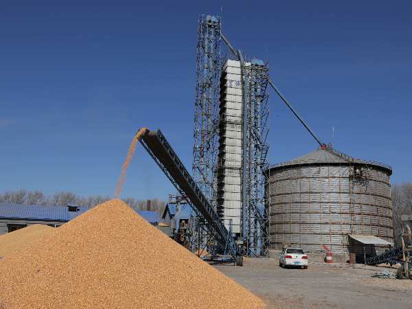 燒煤改燒秸稈大包直燃熱風爐，烘干成本省一半