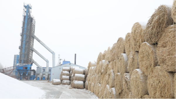 煤炭價格高，烘糧利潤低，吉林大安市500噸糧食烘干塔改用秸稈大包直燃鍋爐，每天省3萬