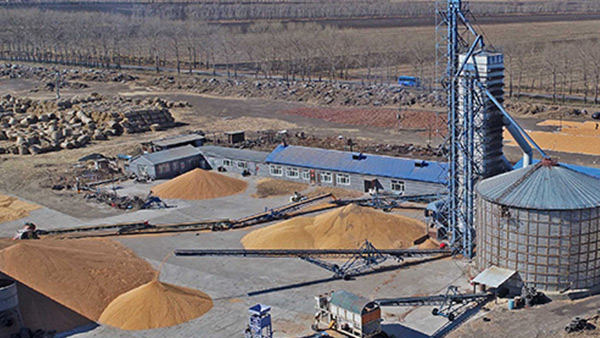 糧食烘干合作社如何做到年節(jié)省90萬元？利民萬佳鍋爐為您解析